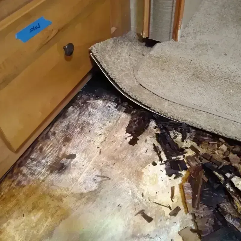 Wood Floor Water Damage in West Portsmouth, OH